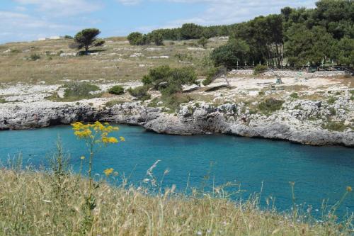 SALENTO POP ART SALENTO POP ART