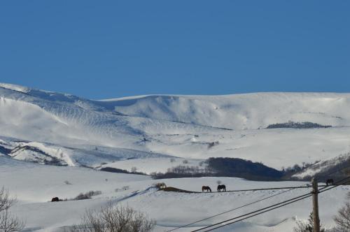 CASUCAS LA GUARIZA - Casa Susi -