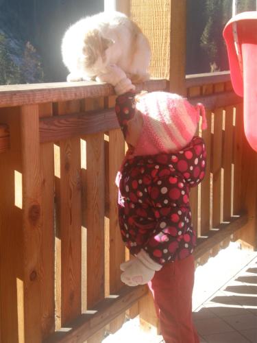  Pastrogn 4 in Wengen