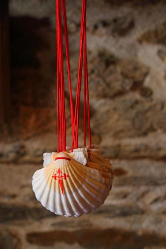 Aqua Rooms Sarria - image 13