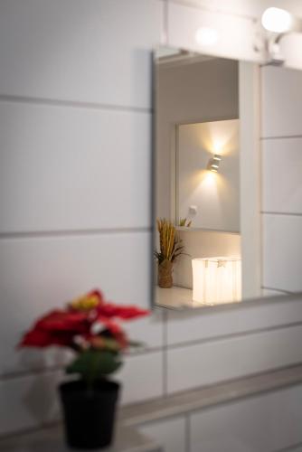 CityCosy Strasbourg - Studio Hirtz Orangerie - image 2