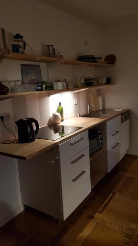Villa im Park Wachwitzgrund - Große Ferienwohnung in EG der Villa, Drezno (zdjęcie 6)