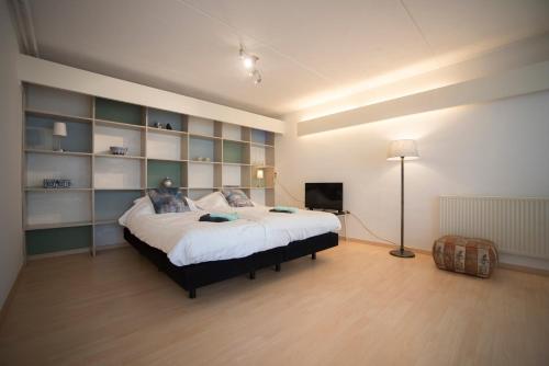 Amsterdam Beach in Zandvoort