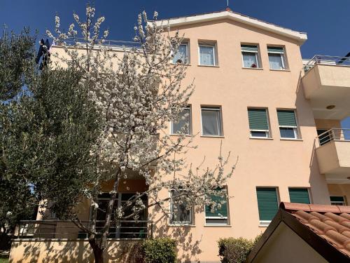  Apartments Brigita in Vrsine