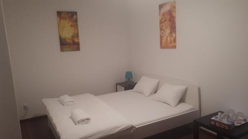 Ubytovanie - súkromie v meste (2), Bratislava (fotografie 5)