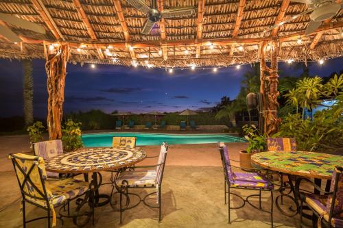 Serendipity in Todos Santos