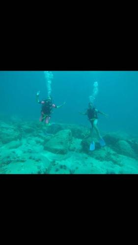 Deportes y ocio, JASMINE CORAL JAY Boutique Boatel Ocean Village in Gibraltar