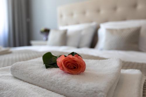 1 king bed, 1 sofa bed