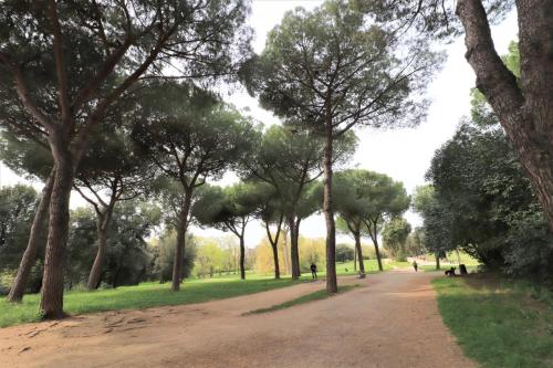 Pamphili Park Romantic Retreat, Roma (foto 5)