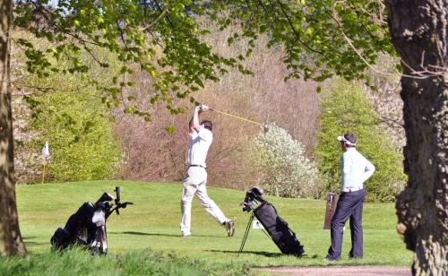 Green Hotel - image 11