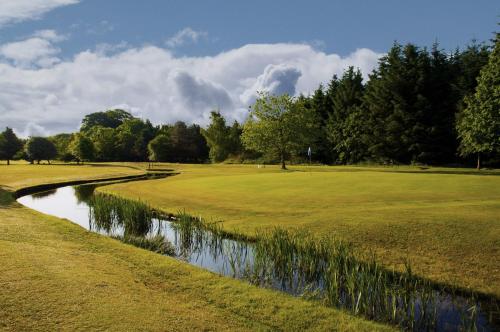 Green Hotel - image 2