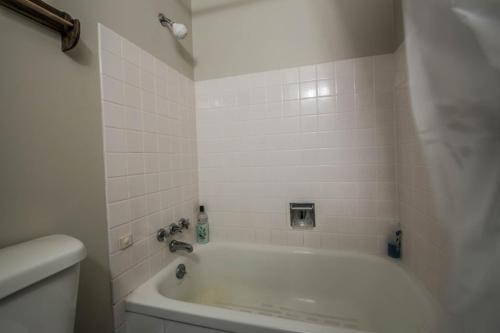 Red Cricket 22 in Sandpoint