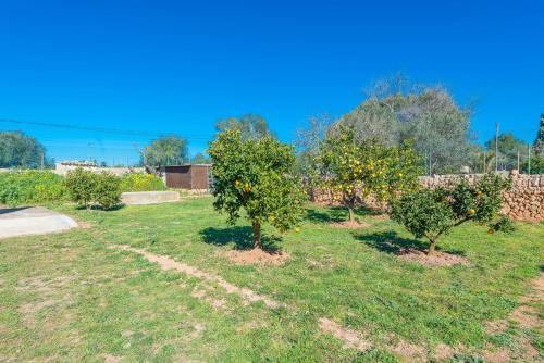 Las Piedras - image 4