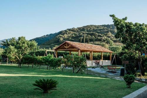 Valle degli Agrumi