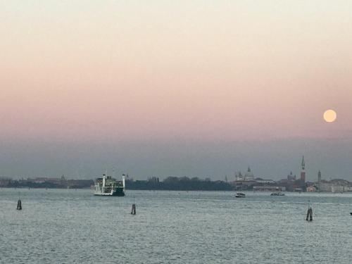 OASIS Golden Lagoon Chalet - image 6