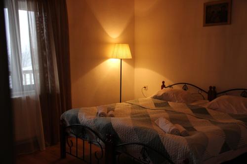 Superior Twin Room with City View