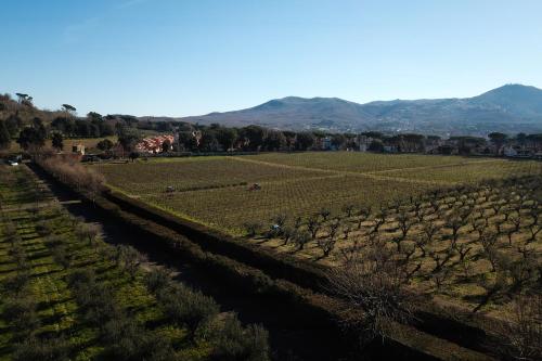 Villa Cavalletti Camere