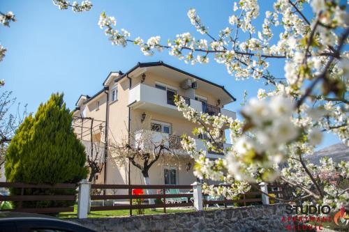 Studio Apartman Milović br-1 - image 2