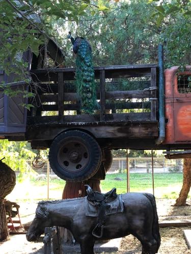 Wine Country Private Working Sheep Farm; Rustic Elegance in Temecula, USA