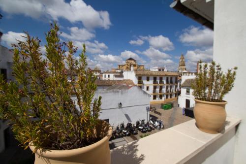 Apartamentos Los Patios de la Judería, Kordoba (zdjęcie 4)