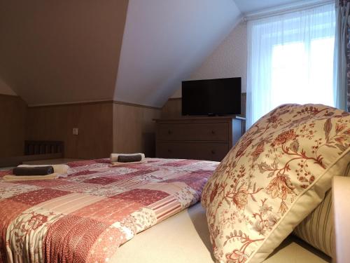Penzion Bílá voda Room Type - Standard Double Room
