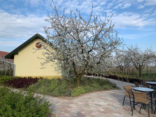  BÉNI family wine farm in Cegléd