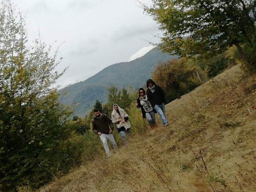 Pensiunea La Poarta Bucovinei