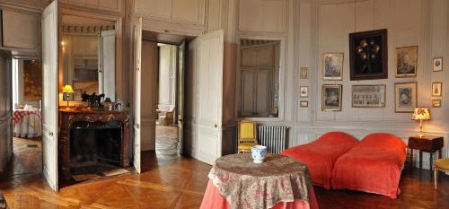 Château de Saint-Fargeau photo 19