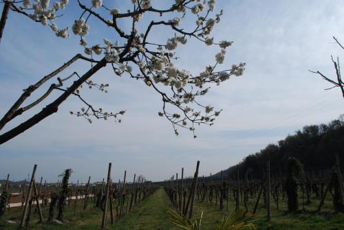 Agriturismo il Rovere