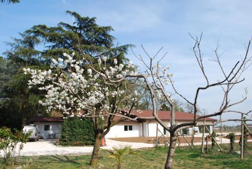 Agriturismo il Rovere