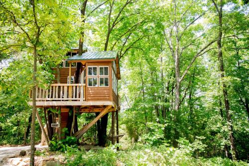 The Cottage Treehouses - Accommodation - Hermann