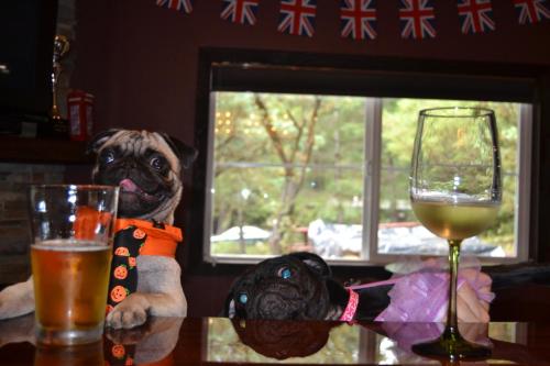 Redwoods River Resort & Campground Redwoods River Resort & Campground