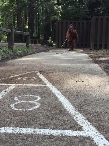 Redwoods River Resort & Campground Redwoods River Resort & Campground