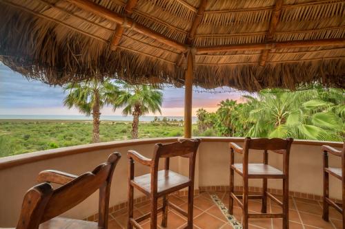 Serendipity in Todos Santos, Mexico