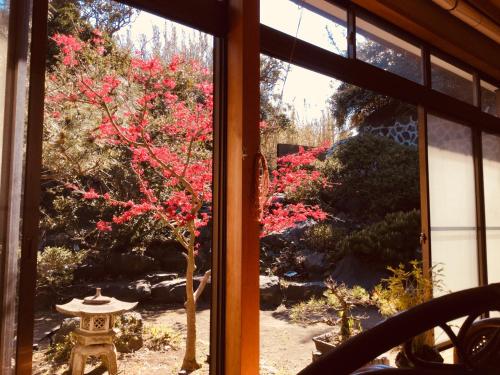 島の宿 近 〜KON〜, Oshima (фото 8)