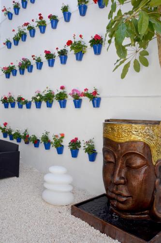 Apartamentos Casa-Patio Las Palmeras, Córdoba (fotografie 10)