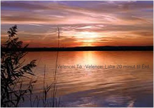  Beck Panzio with pool, Unterkunft in Érd