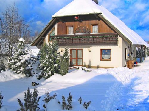 Beautiful Apartment in P hla Saxony near Ski Area - Pöhla