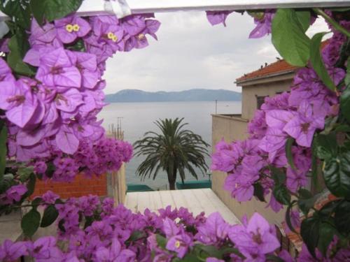 Apartment Graci - 20 m from pebble beach