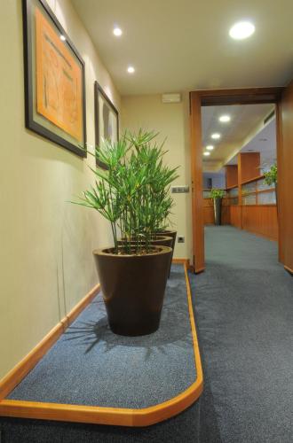 ベスト ウェスタン プレミア ホテル ダンテ