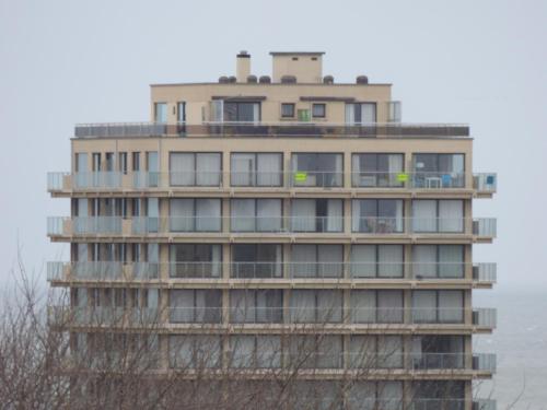  De Panne Studio Vue sur Mer in De Panne