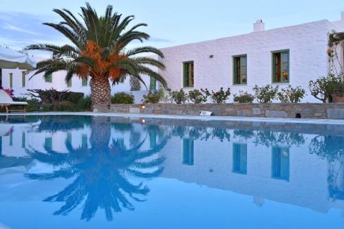  Villa Fortuna · Villa Fortuna - Unique pool villa in Naoussa