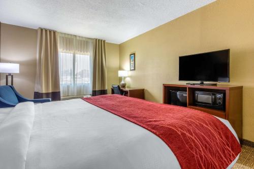 Comfort Inn & Suites Mccomb