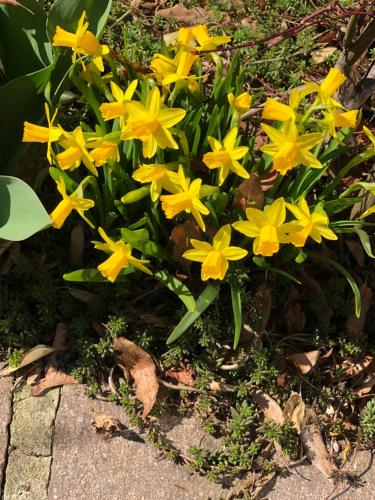 豪斯林登自助式服务公寓