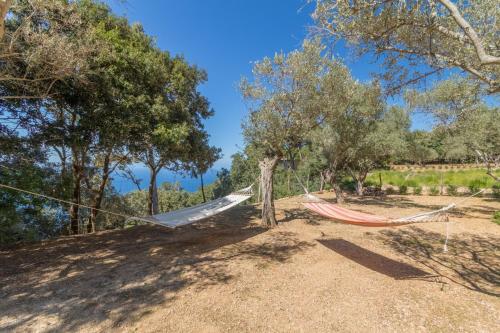 Valldemossa - 281388