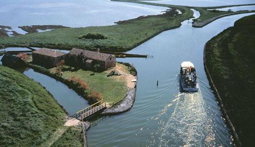  Cedri B in Lido delle Nazioni