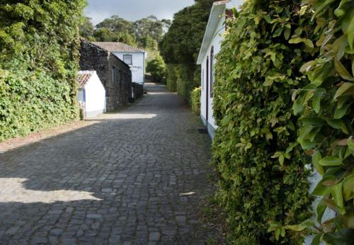 Quinta Do Martelo - image 6