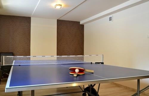Hotel Orlik - image 7