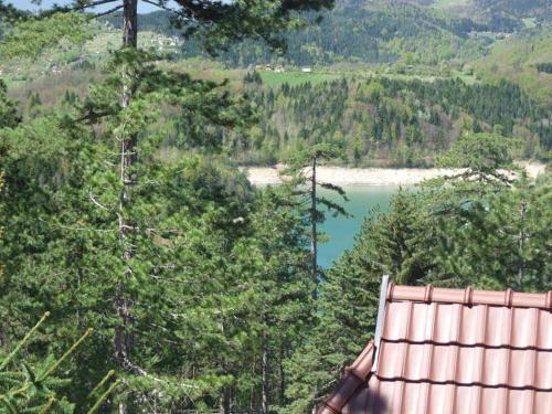 Zavicaj Apartmani3