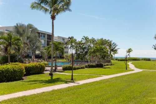 Loggerhead 424 - image 2